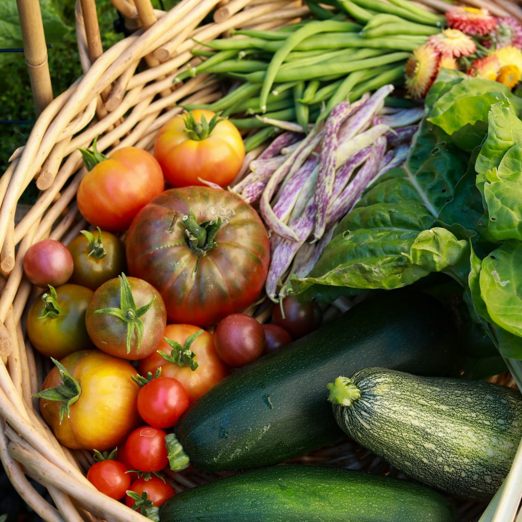 Companion planting gives an extra source of income to small scale farmers