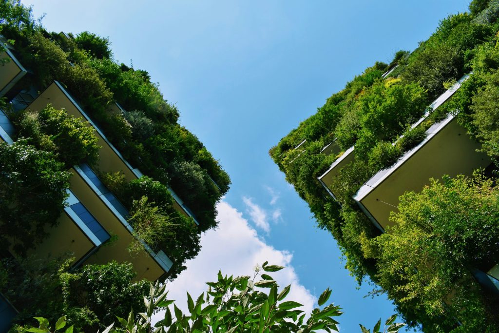 Green city