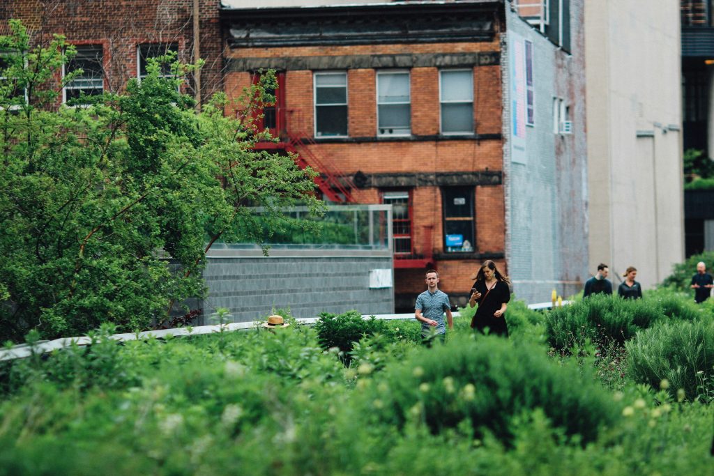 Bringing nature to our cities Bringing back Nature in our cities