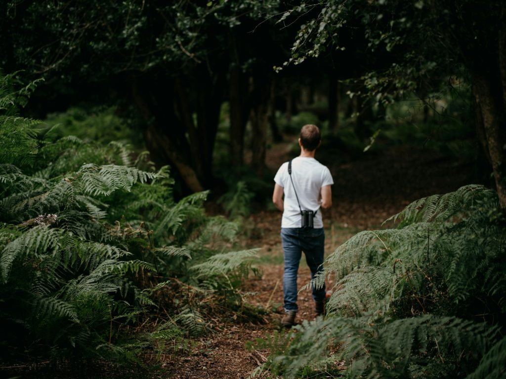 A little walk in the woods can boost your mood. Nature may be the cure to your anxiety and stress.