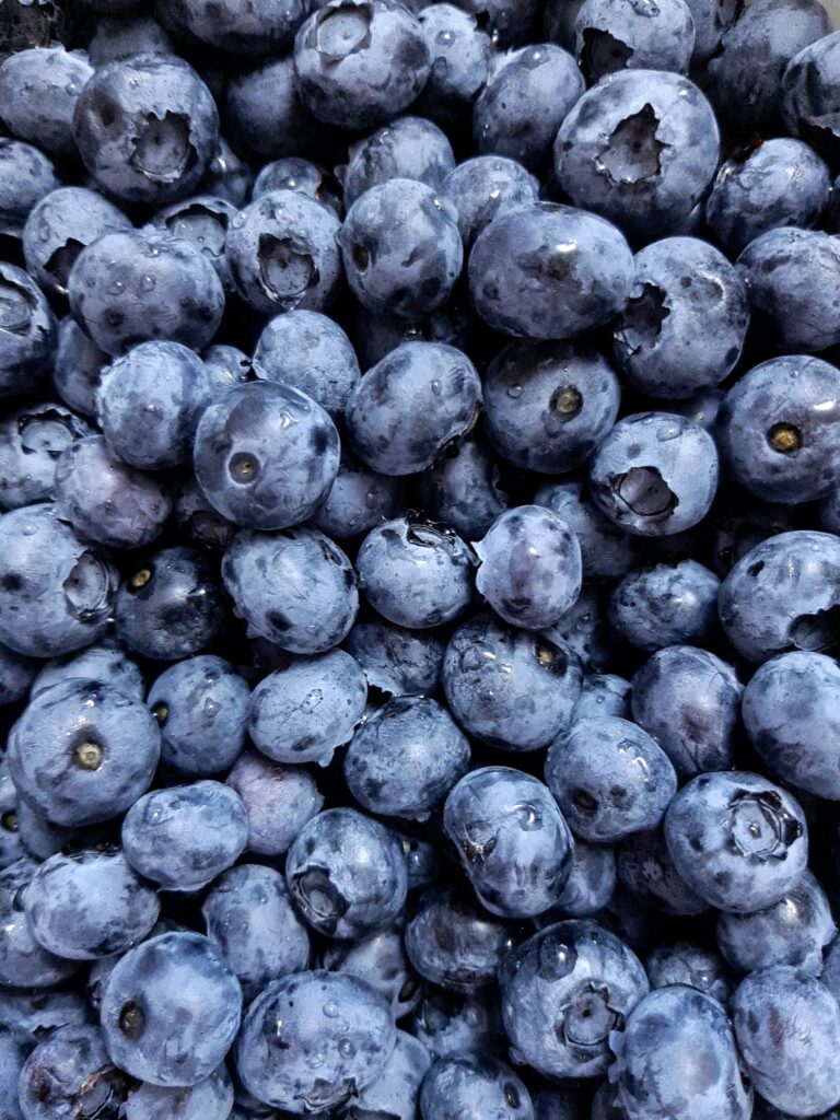 Blueberries have an epicuticular coating of transparent wax crystals called “bloom” that gives the fruit its blue colour