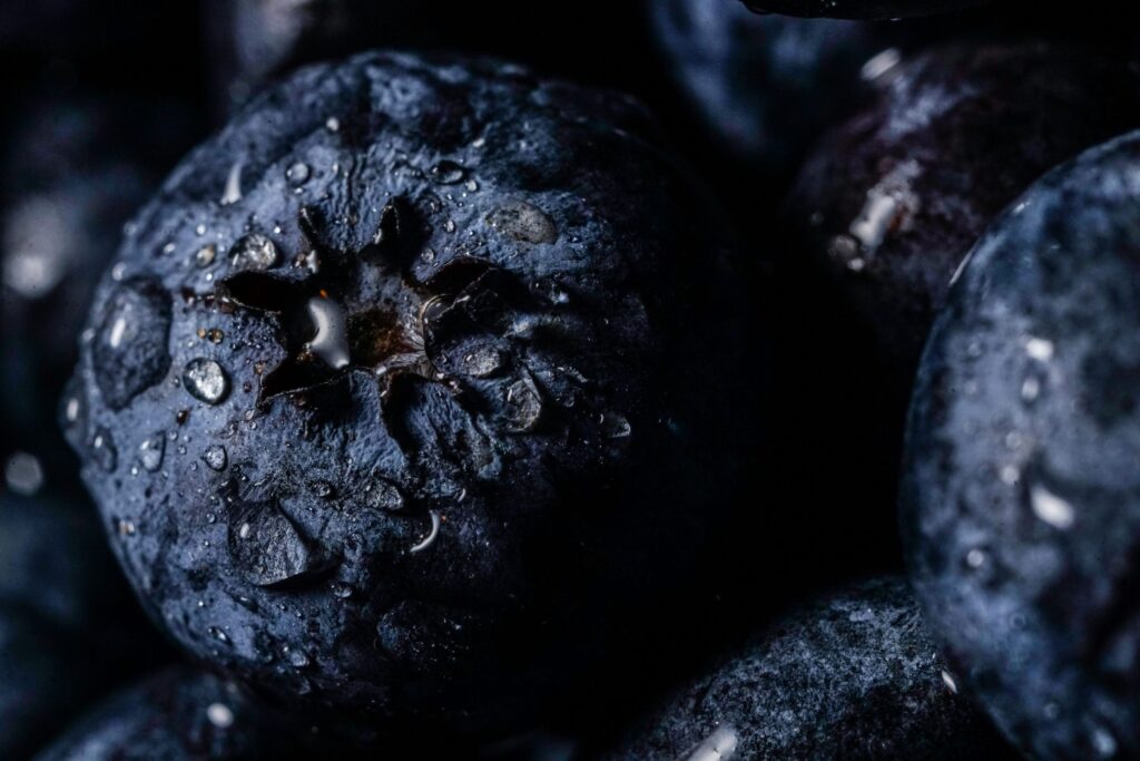 The wax coat on blueberry keeps the surface clean, protects the fruit from getting wet and acts as a resistance against insect attacks and microbial infections