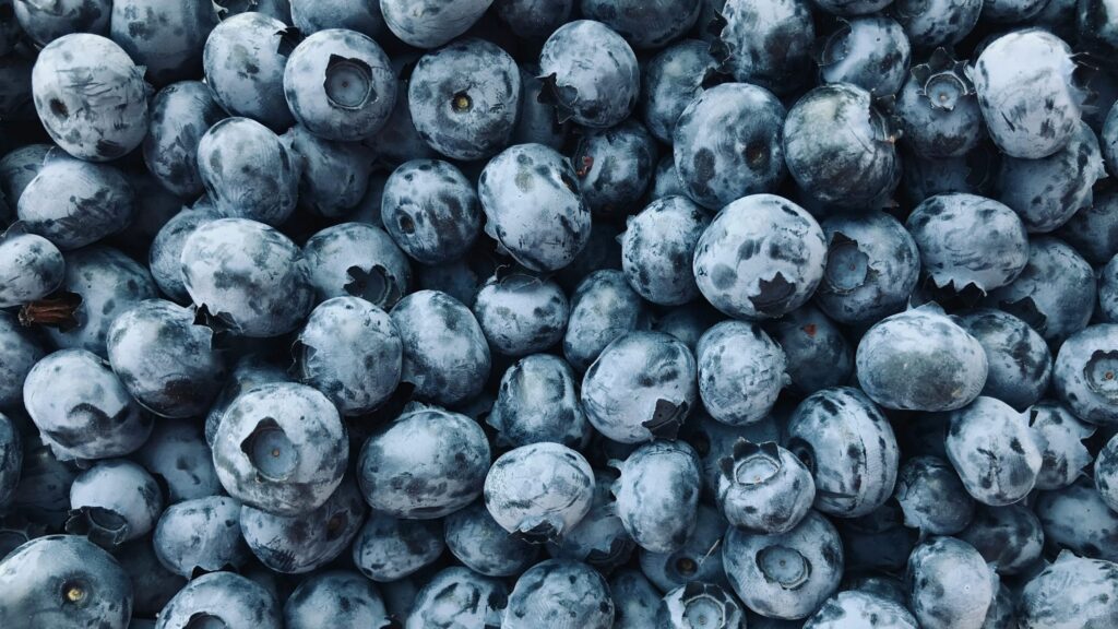 Blue pigments are expensive to synthesize so blueberries adopt structural colour to look blue